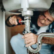 Best Pipe Inspections and Diagnostics  in Roodhouse, IL